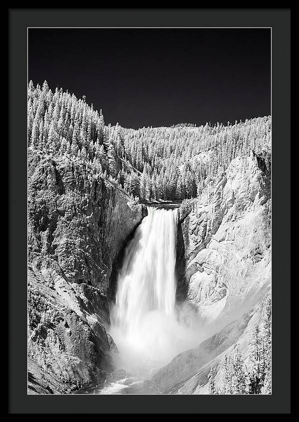 Majestic Lower Falls In Yellowstone