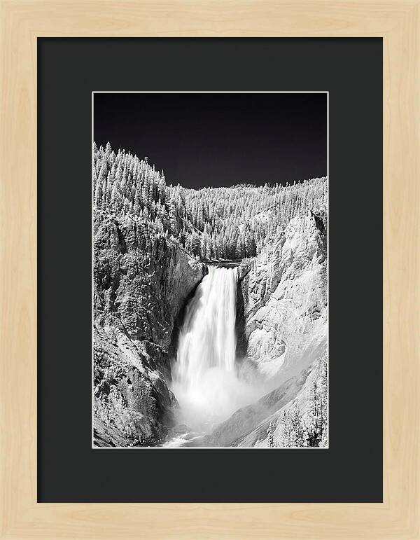 Majestic Lower Falls In Yellowstone