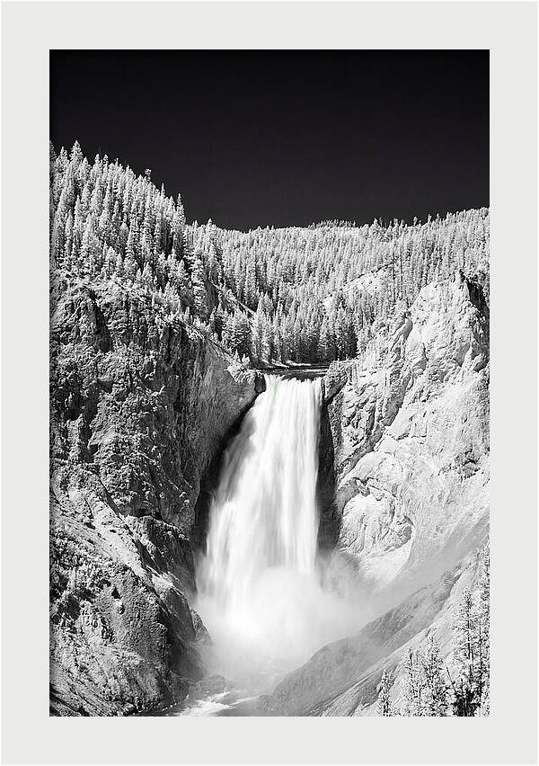 Majestic Lower Falls In Yellowstone
