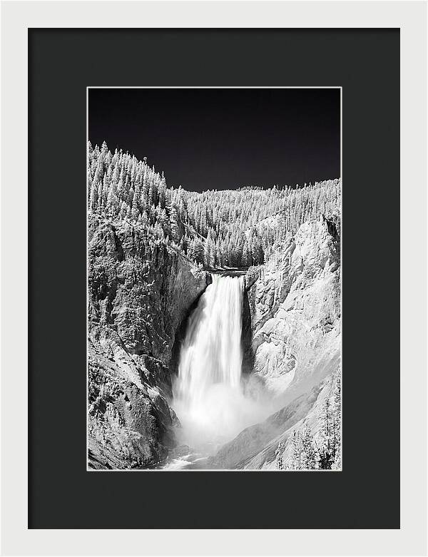 Majestic Lower Falls In Yellowstone