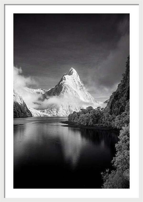 Majestic Mitre Peak At Milford Sound