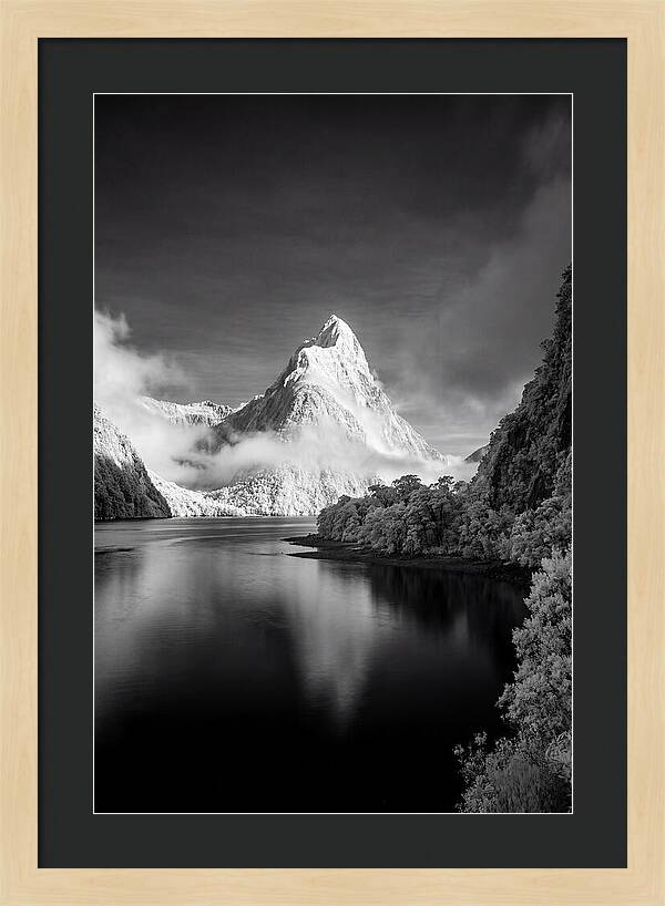 Majestic Mitre Peak At Milford Sound