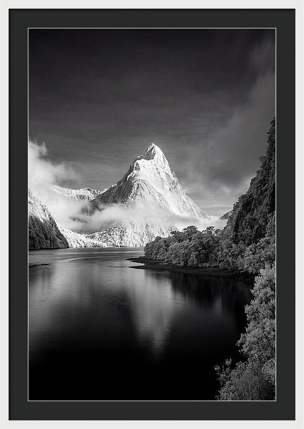 Majestic Mitre Peak At Milford Sound