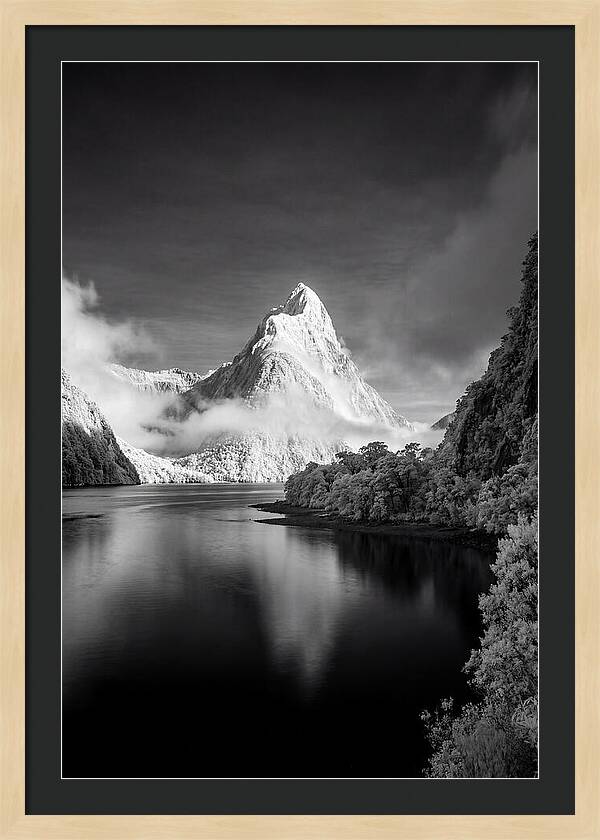 Majestic Mitre Peak At Milford Sound