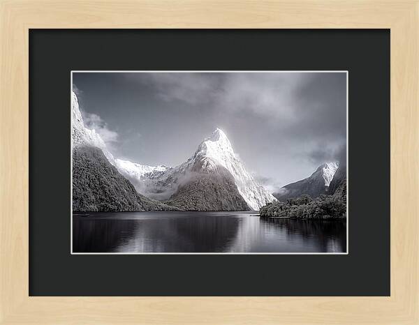 Majestic Mitre Peak Overlooking Milford Sound