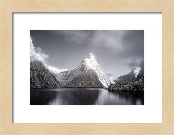 Majestic Mitre Peak Overlooking Milford Sound