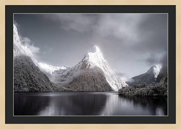 Majestic Mitre Peak Overlooking Milford Sound