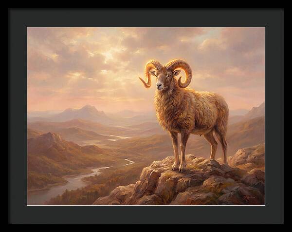 Majestic Mouflon In Landscape