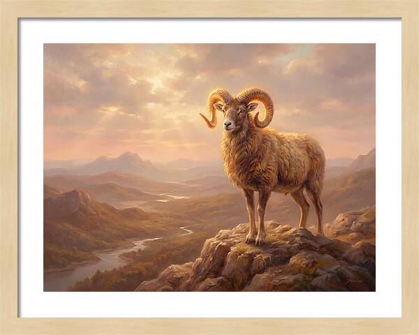 Majestic Mouflon In Landscape