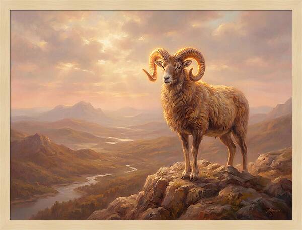Majestic Mouflon In Landscape