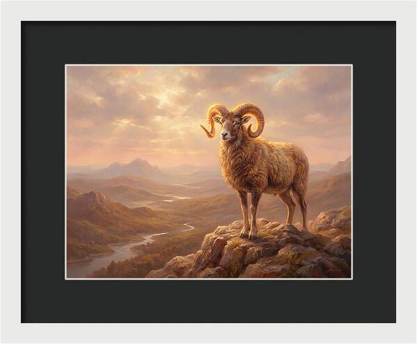 Majestic Mouflon In Landscape