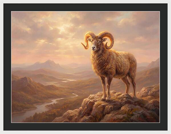 Majestic Mouflon In Landscape
