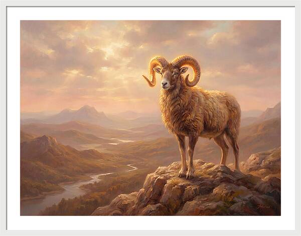 Majestic Mouflon In Landscape