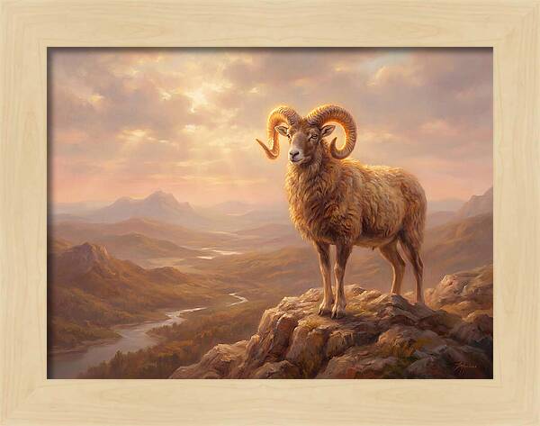 Majestic Mouflon In Landscape