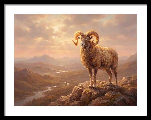 Majestic Mouflon In Landscape
