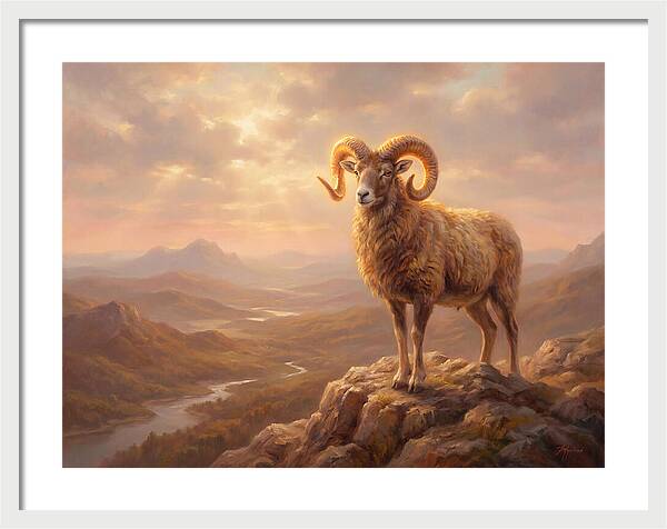 Majestic Mouflon In Landscape