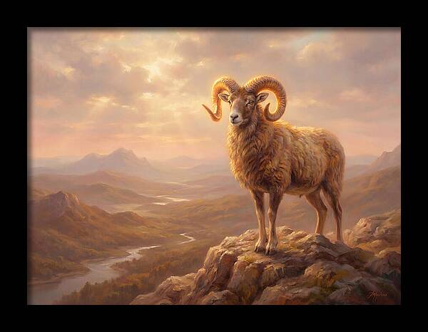 Majestic Mouflon In Landscape