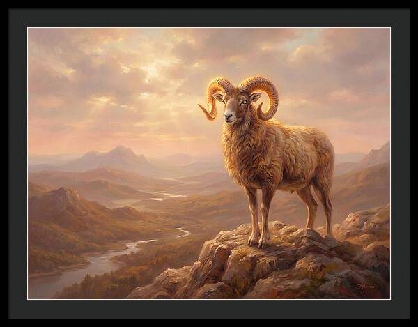 Majestic Mouflon In Landscape