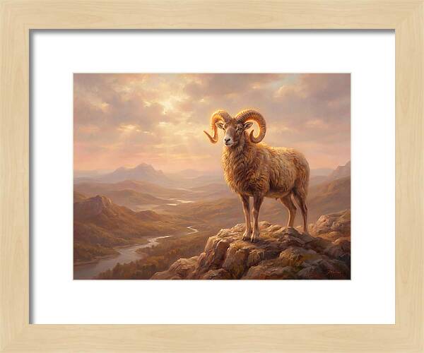 Majestic Mouflon In Landscape