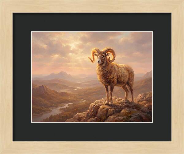 Majestic Mouflon In Landscape