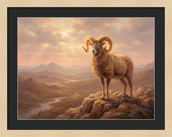 Majestic Mouflon In Landscape