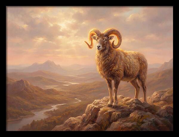 Majestic Mouflon In Landscape