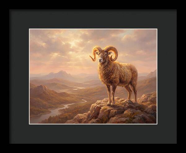 Majestic Mouflon In Landscape