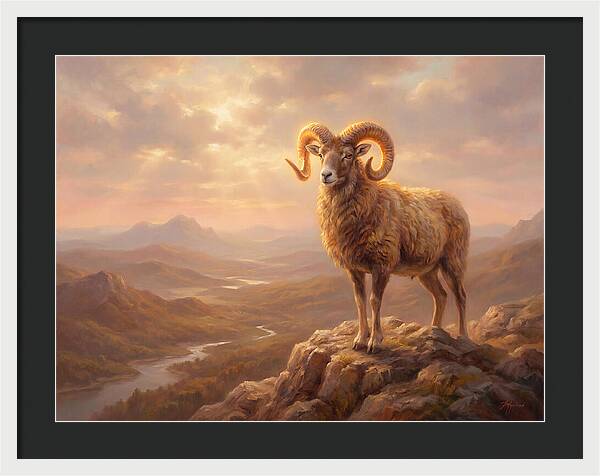 Majestic Mouflon In Landscape