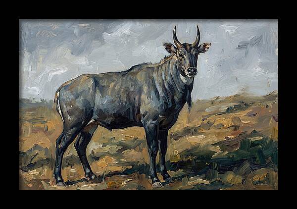 Majestic Nilgai In The Wild