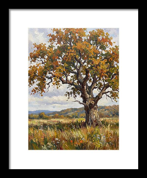 Majestic Oak In Autumn