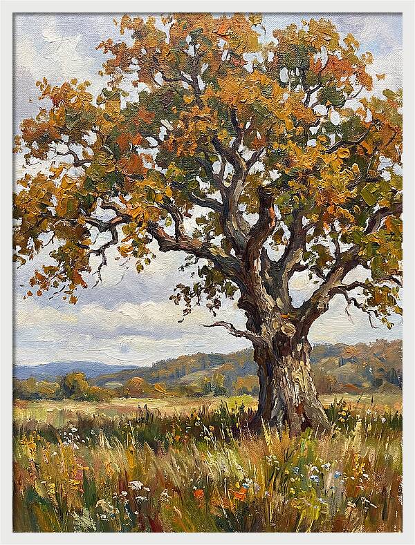 Majestic Oak In Autumn