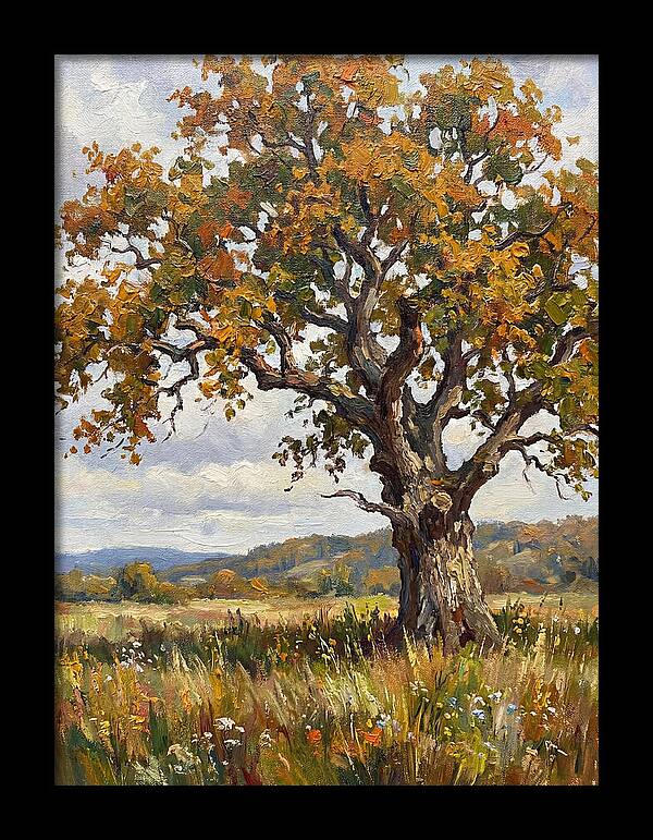 Majestic Oak In Autumn