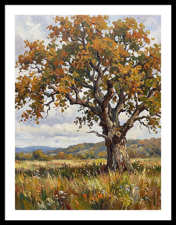 Majestic Oak In Autumn
