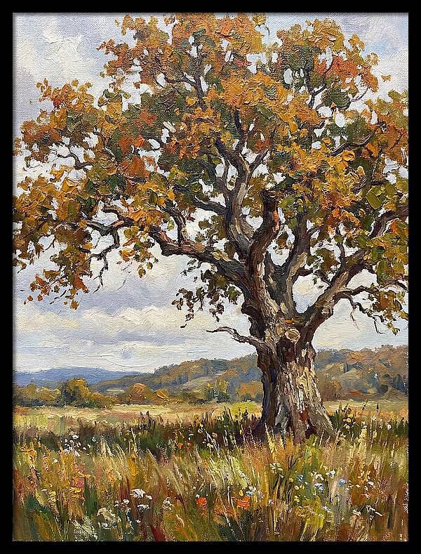 Majestic Oak In Autumn