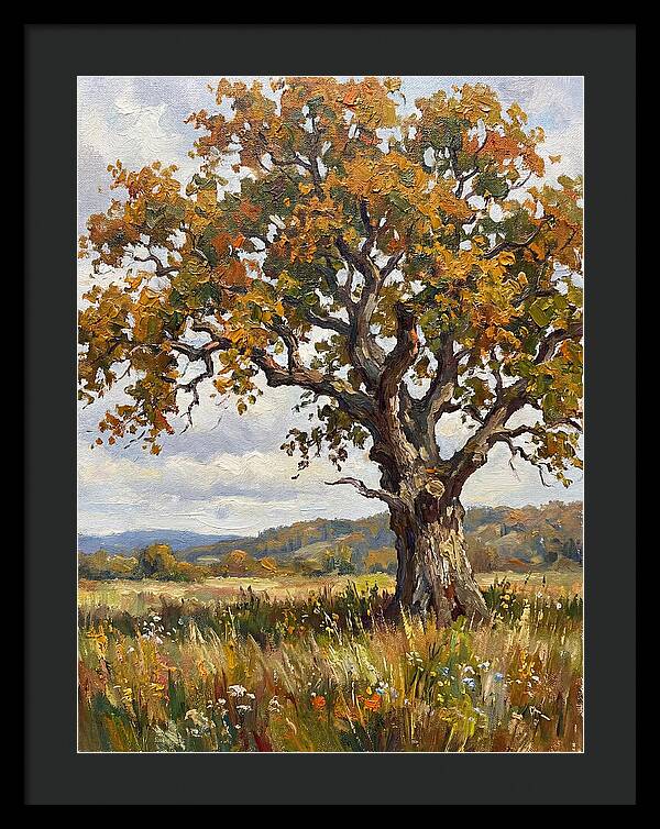 Majestic Oak In Autumn