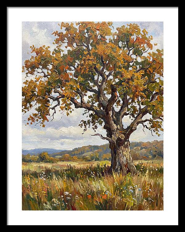 Majestic Oak In Autumn
