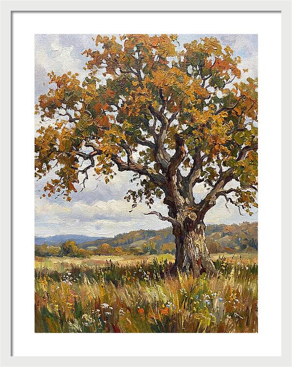 Majestic Oak In Autumn
