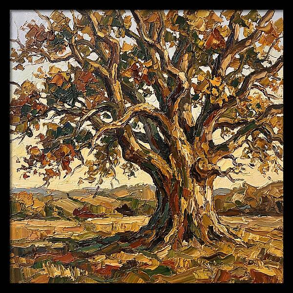 Majestic Oak Tree In Autumn
