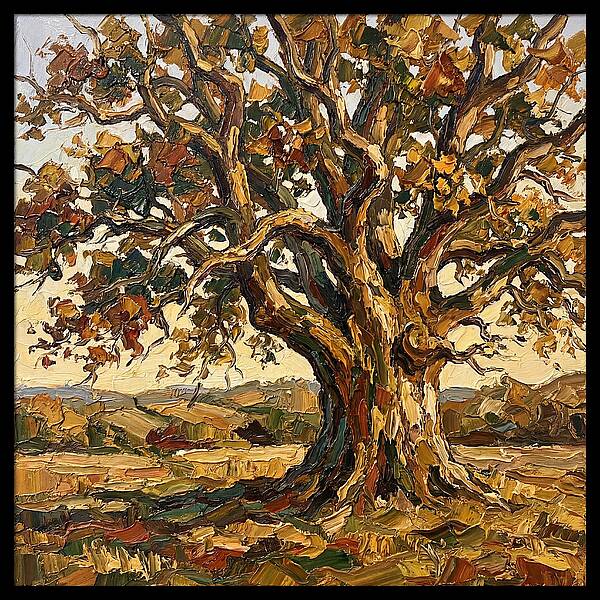 Majestic Oak Tree In Autumn