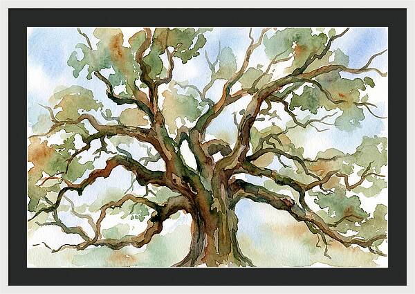 Majestic Oak Tree Watercolor