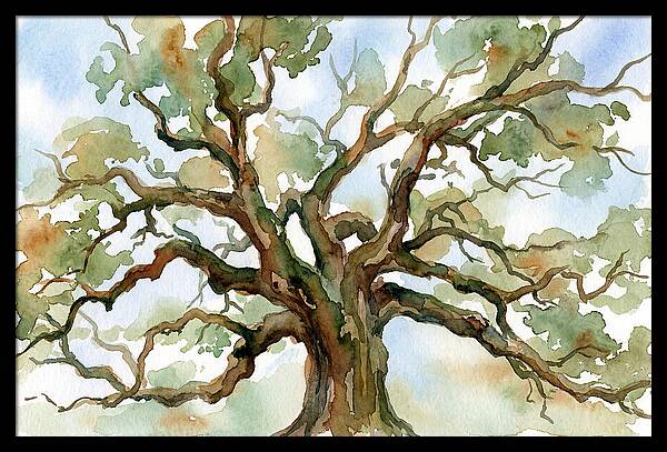 Majestic Oak Tree Watercolor