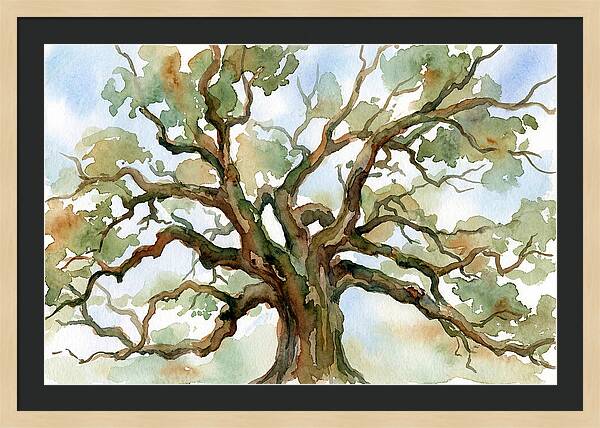 Majestic Oak Tree Watercolor