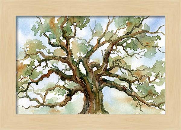 Majestic Oak Tree Watercolor