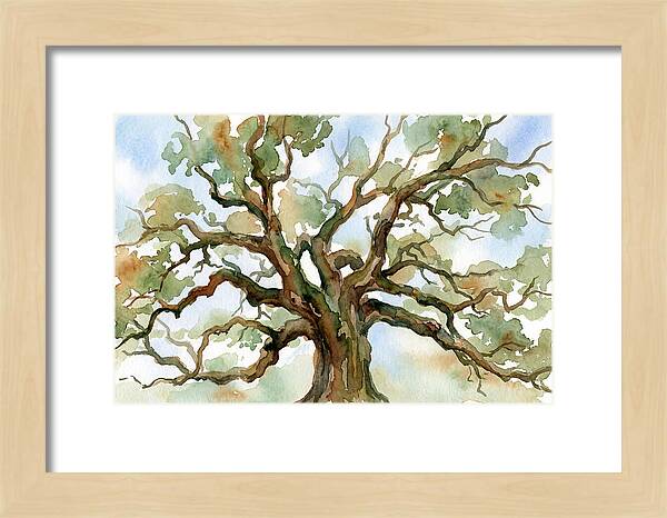 Majestic Oak Tree Watercolor