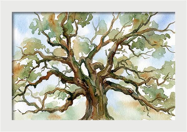 Majestic Oak Tree Watercolor