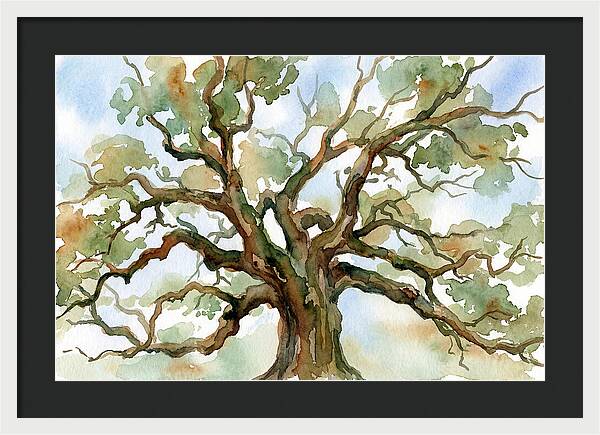 Majestic Oak Tree Watercolor