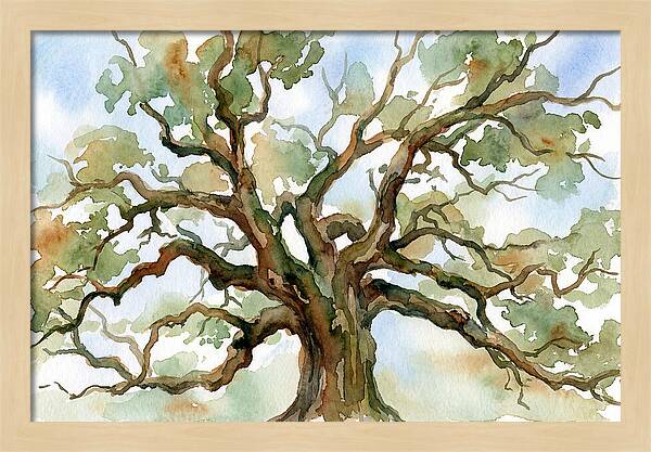 Majestic Oak Tree Watercolor