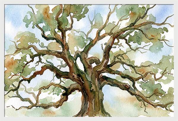 Majestic Oak Tree Watercolor