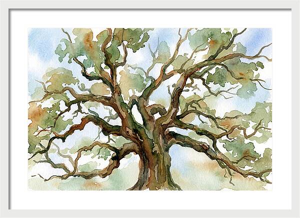Majestic Oak Tree Watercolor
