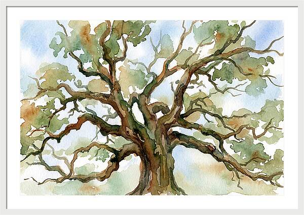 Majestic Oak Tree Watercolor